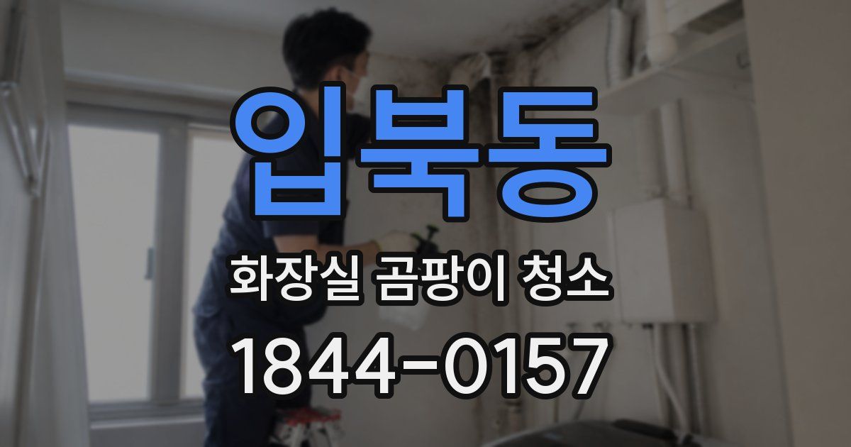 입북동 화장실 곰팡이 청소