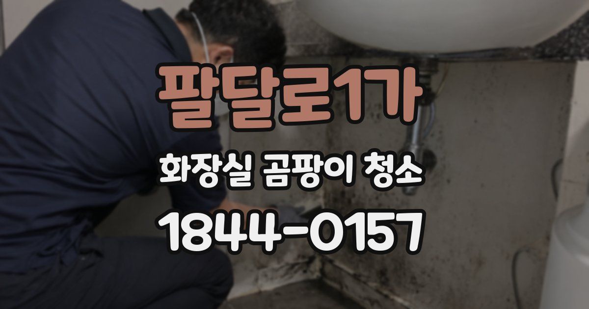 팔달로1가 화장실 곰팡이 청소