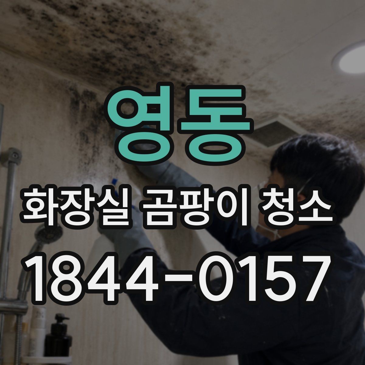 영동 화장실 곰팡이 청소 세정 후 소독까지 이어지는 관리법