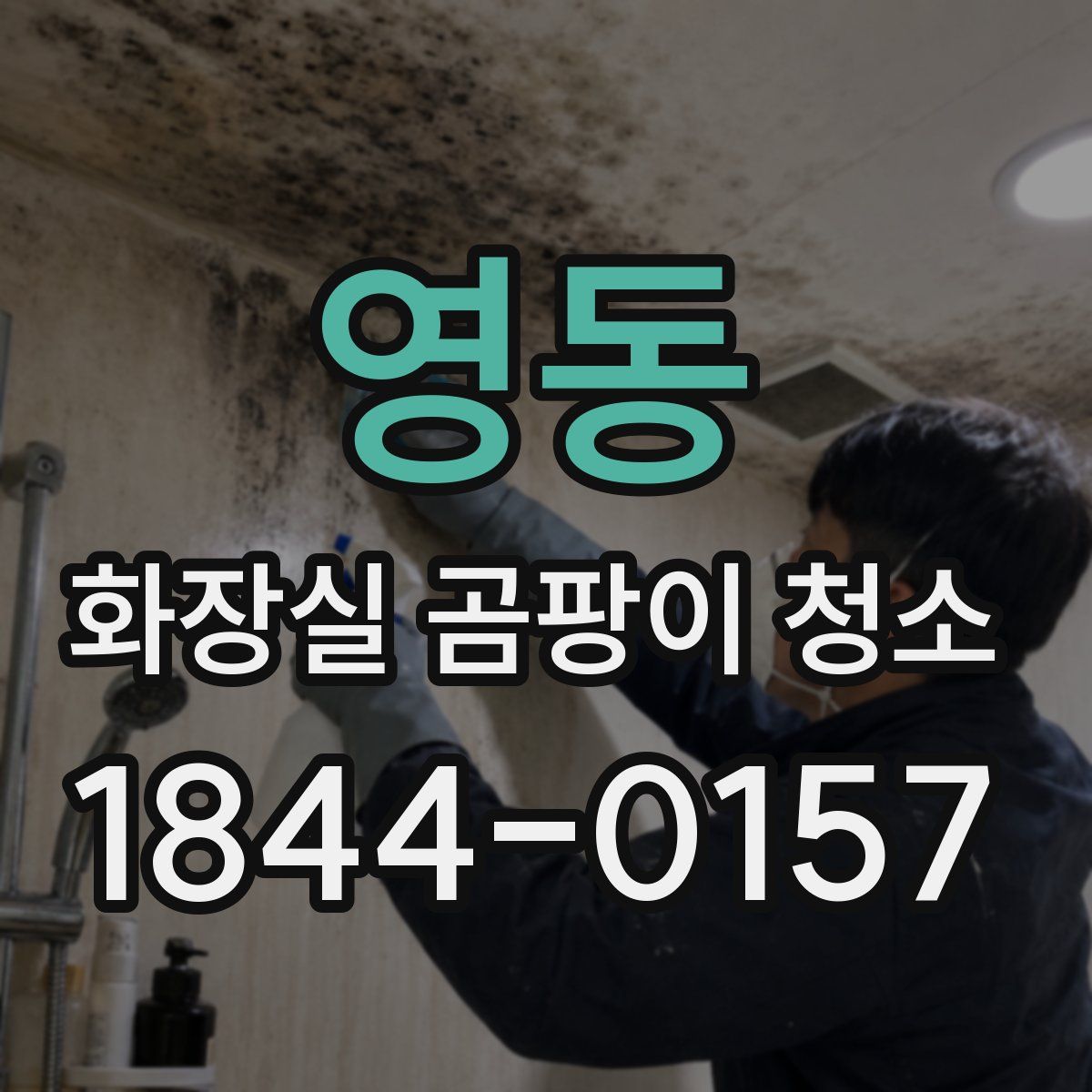 영동 화장실 곰팡이 청소