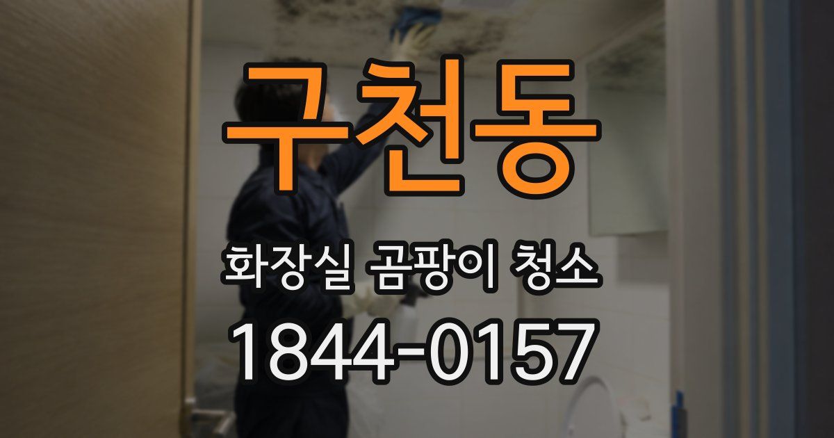 구천동 화장실 곰팡이 청소