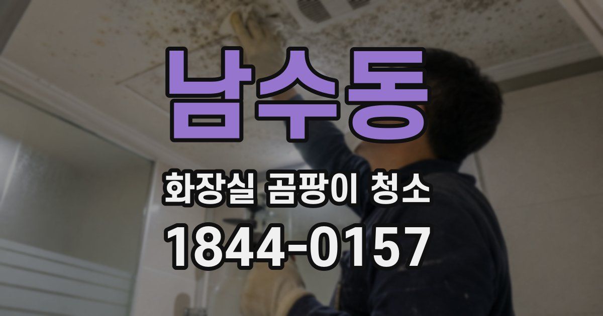 남수동 화장실 곰팡이 청소