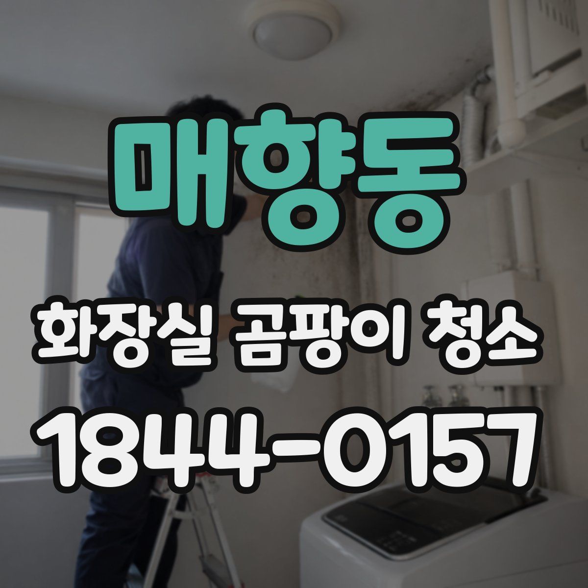 매향동 화장실 곰팡이 청소