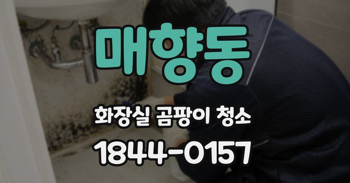 매향동 화장실 곰팡이 청소