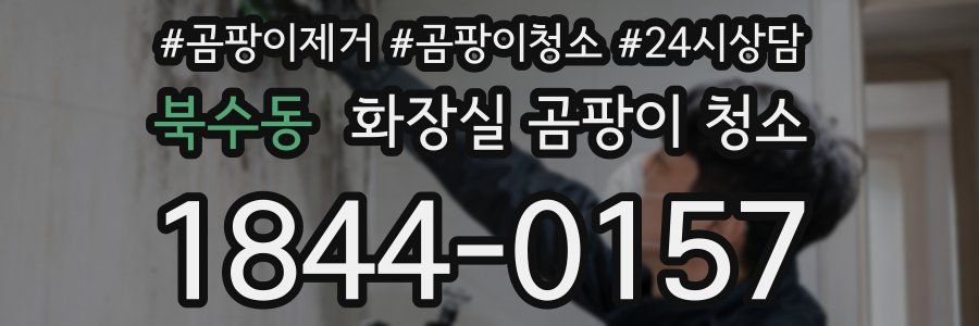 북수동 화장실 곰팡이 청소