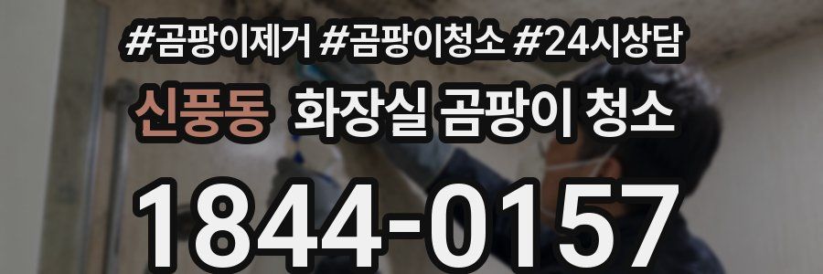 신풍동 화장실 곰팡이 청소