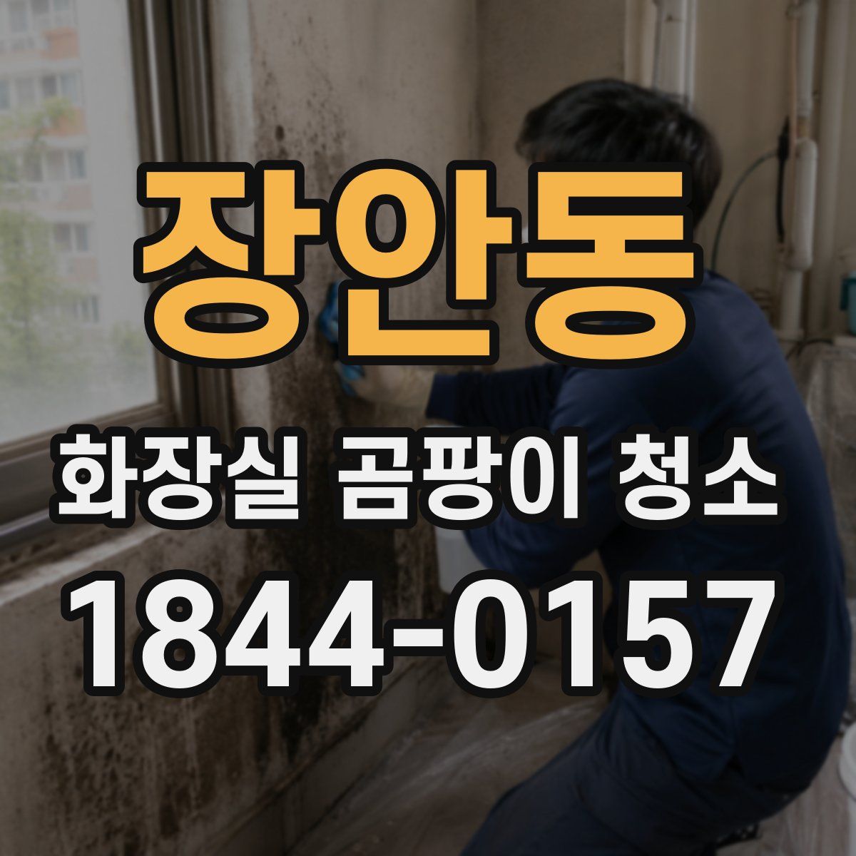 장안동 화장실 곰팡이 청소