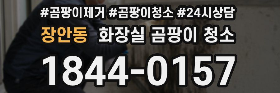 장안동 화장실 곰팡이 청소