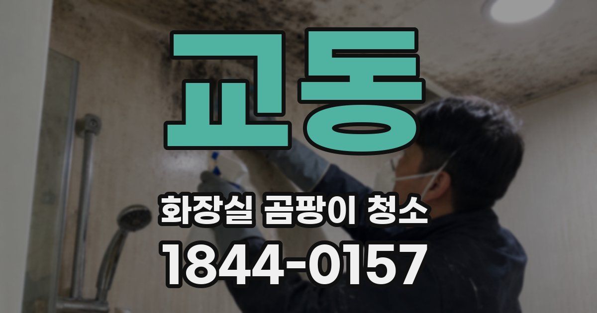 교동 화장실 곰팡이 청소