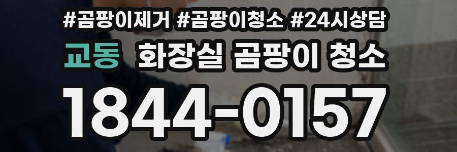 교동 화장실 곰팡이 청소