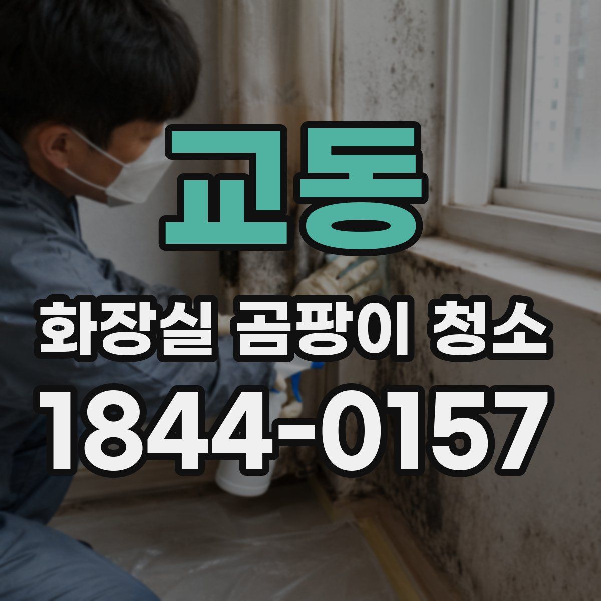 교동 화장실 곰팡이 청소