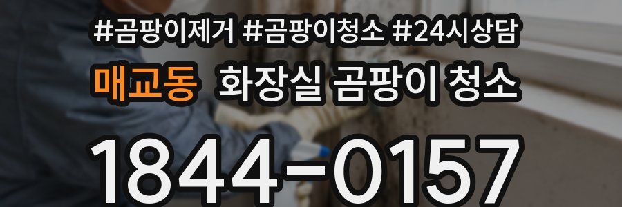 매교동 화장실 곰팡이 청소