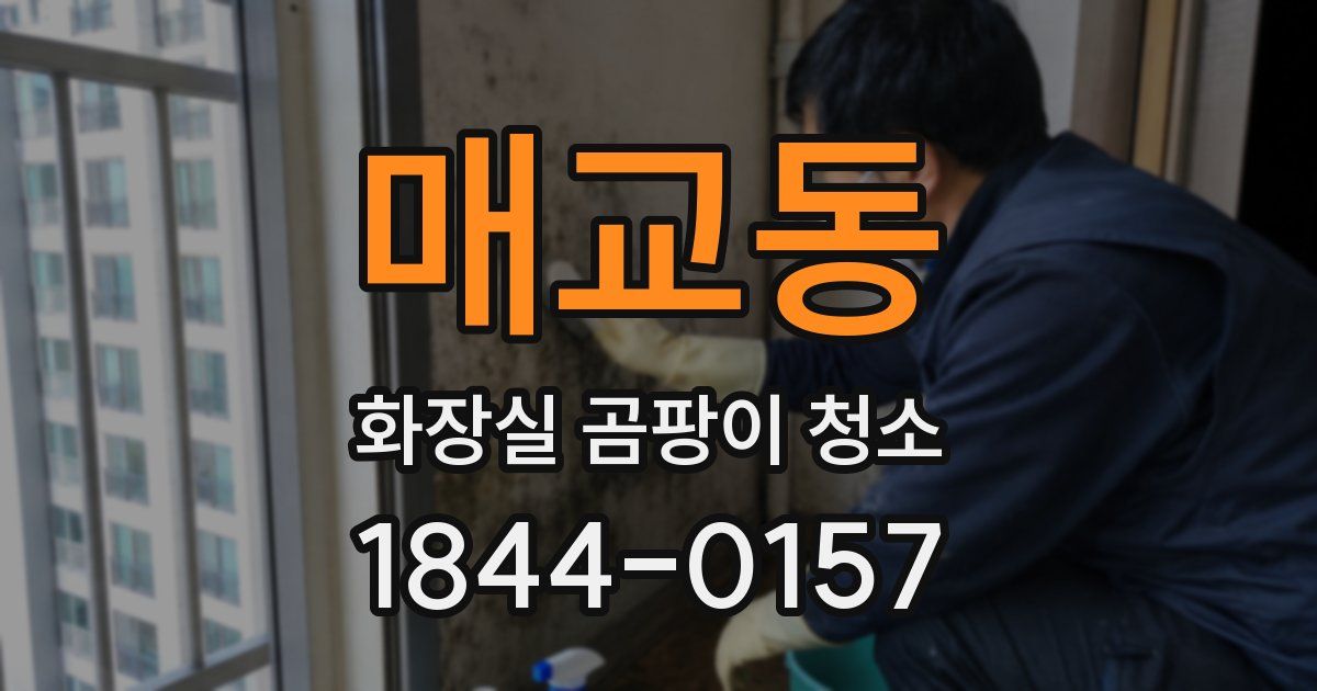 매교동 화장실 곰팡이 청소