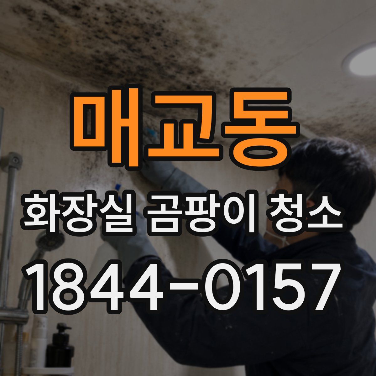 매교동 화장실 곰팡이 청소