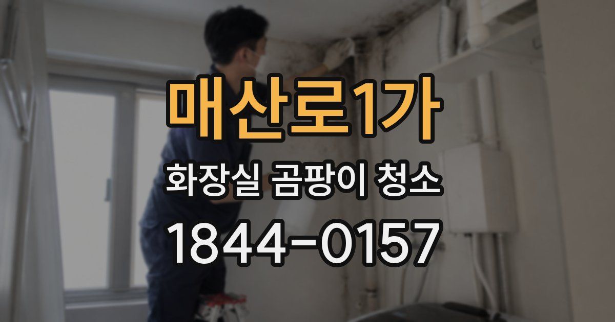 매산로1가 화장실 곰팡이 청소
