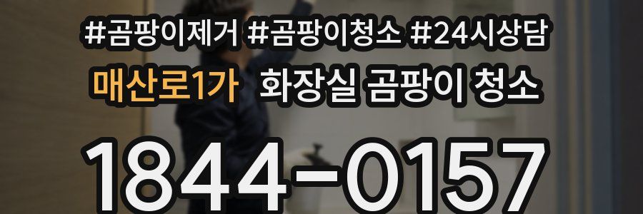 매산로1가 화장실 곰팡이 청소