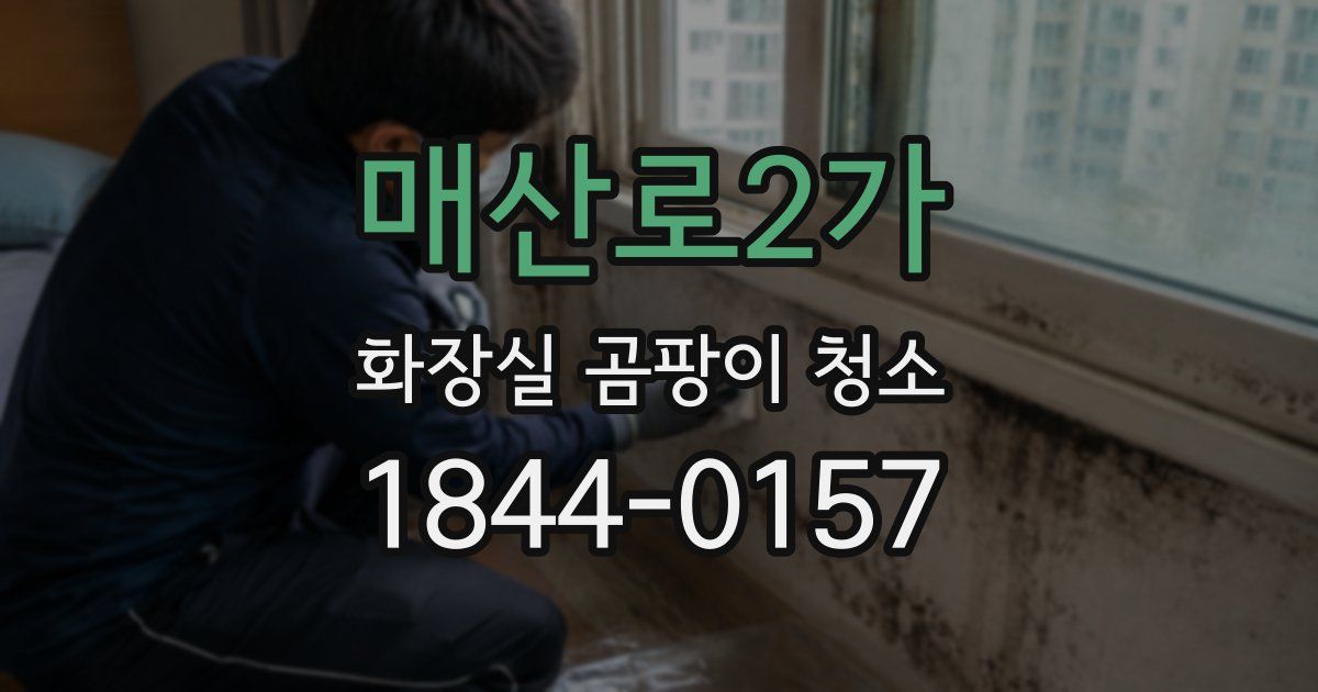 매산로2가 화장실 곰팡이 청소