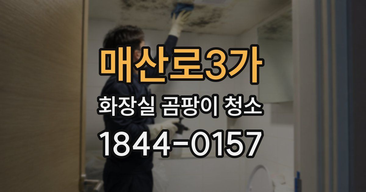 매산로3가 화장실 곰팡이 청소