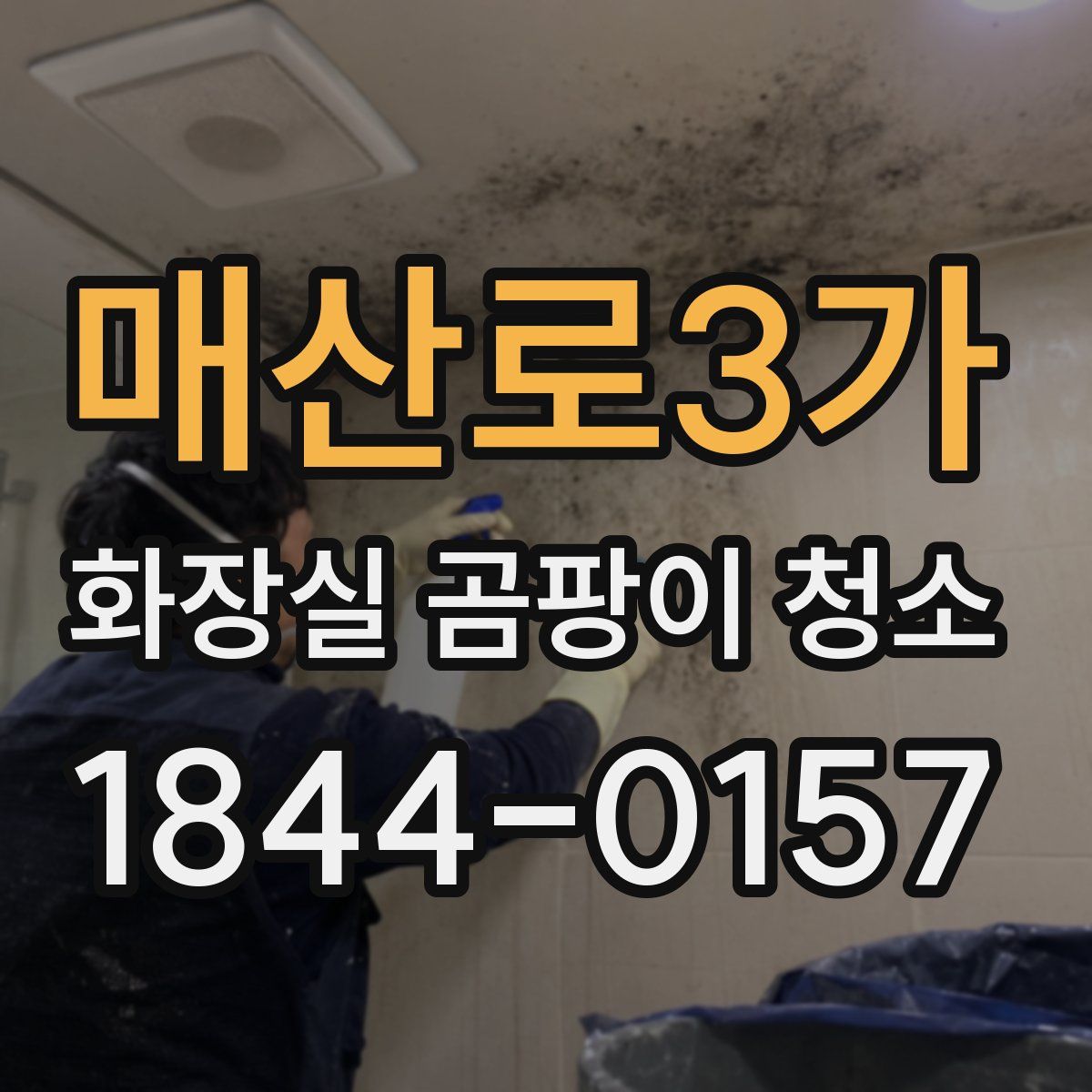 매산로3가 화장실 곰팡이 청소