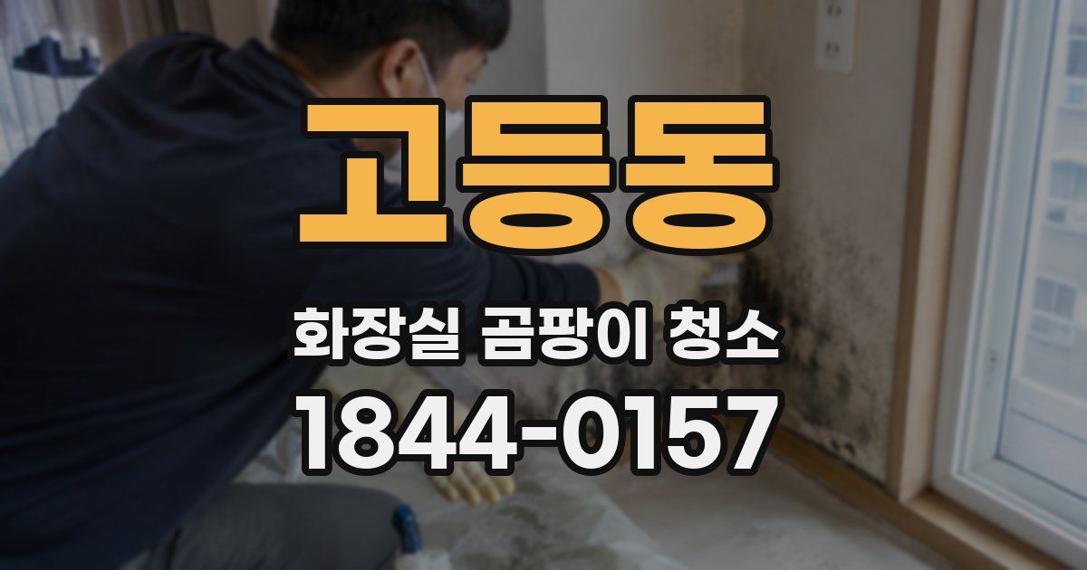 고등동 화장실 곰팡이 청소