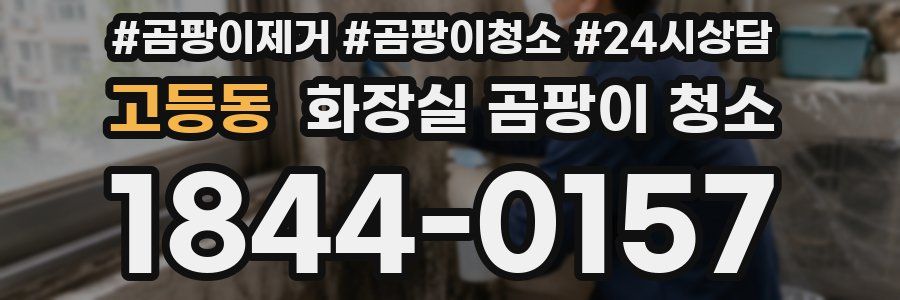 고등동 화장실 곰팡이 청소