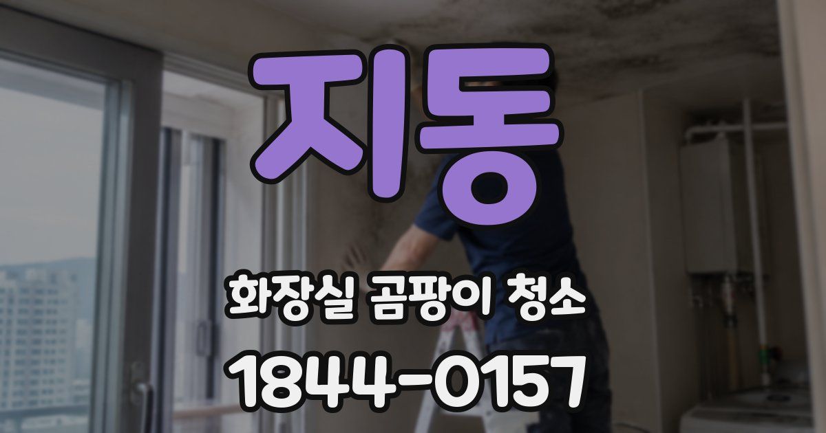 지동 화장실 곰팡이 청소