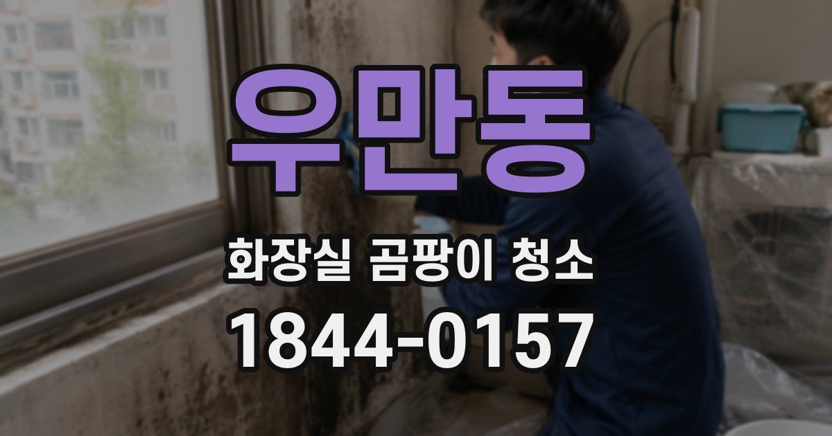우만동 화장실 곰팡이 청소