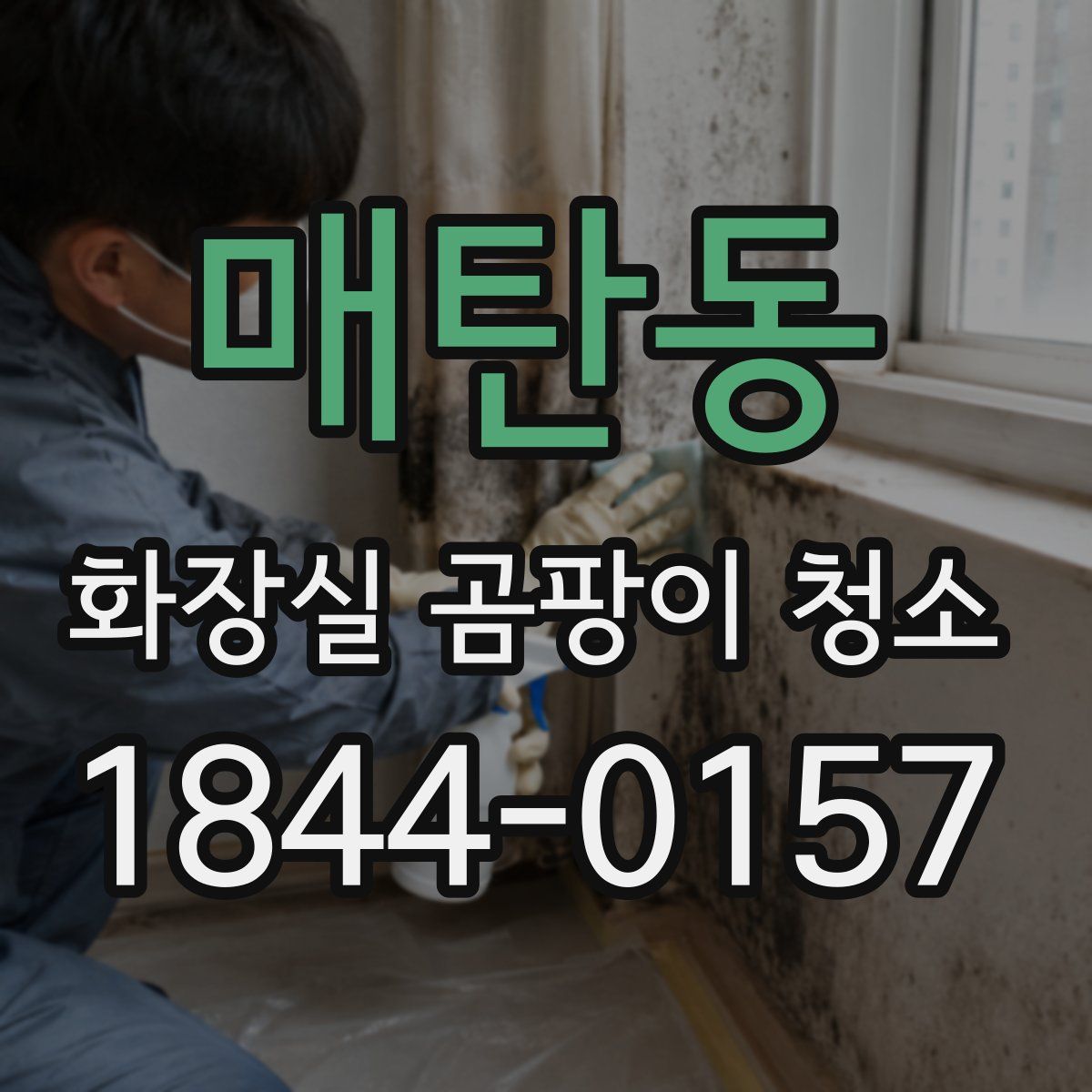 매탄동 화장실 곰팡이 청소