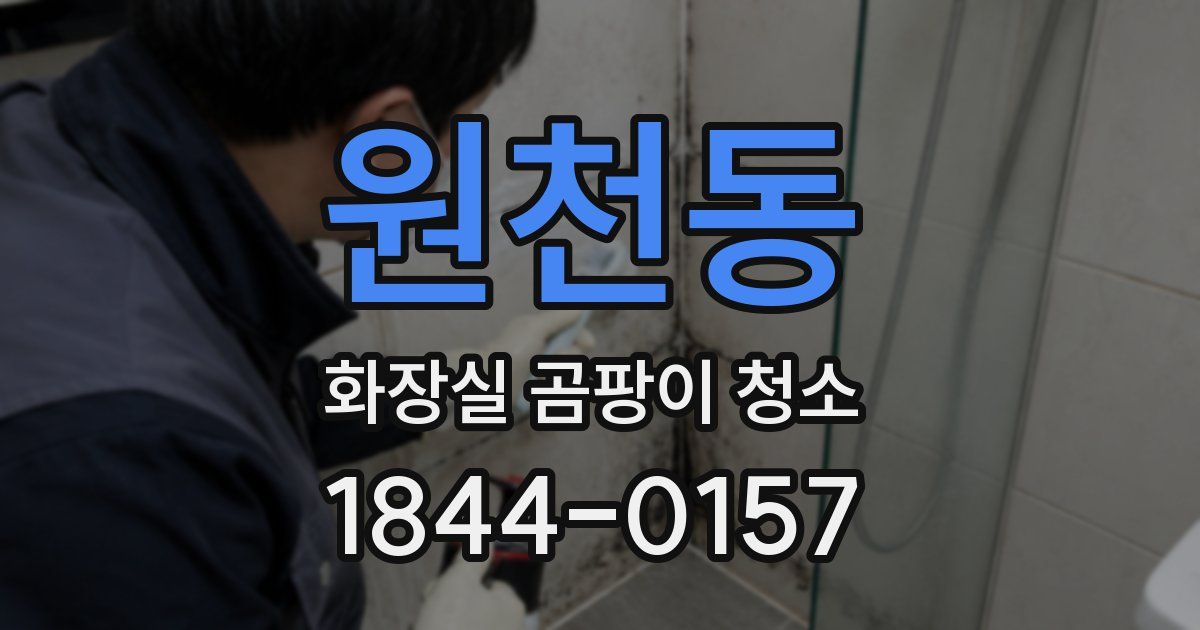 원천동 화장실 곰팡이 청소