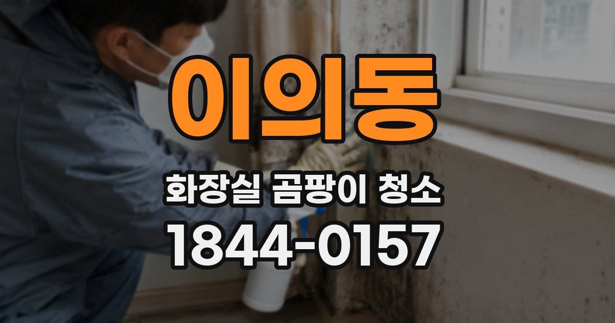 이의동 화장실 곰팡이 청소