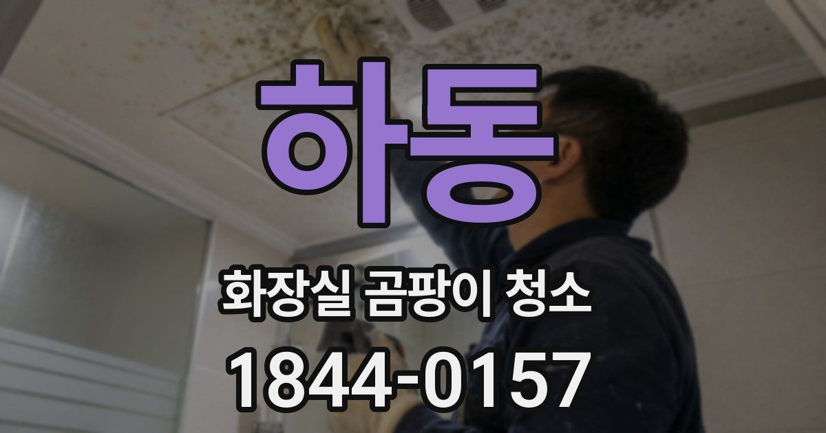 하동 화장실 곰팡이 청소