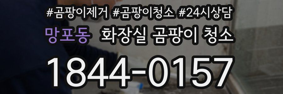 망포동 화장실 곰팡이 청소