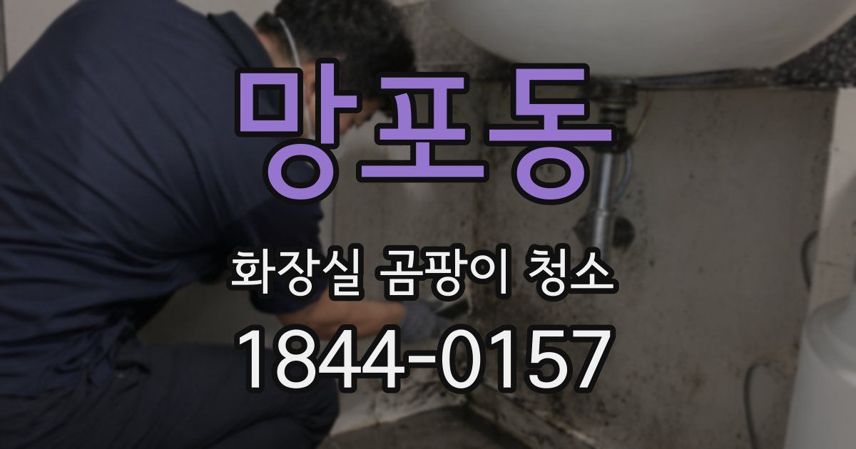 망포동 화장실 곰팡이 청소