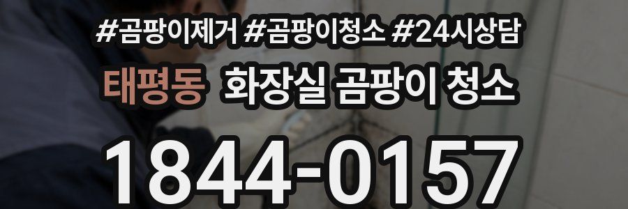 태평동 화장실 곰팡이 청소