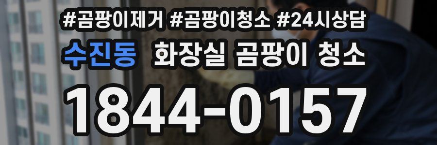 수진동 화장실 곰팡이 청소