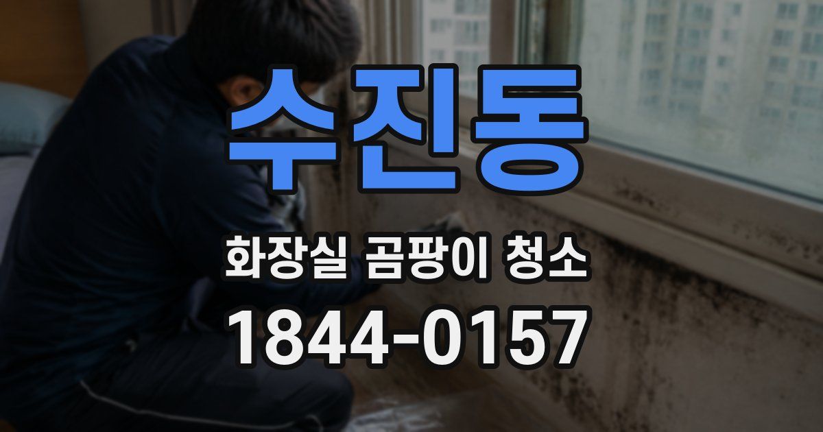 수진동 화장실 곰팡이 청소