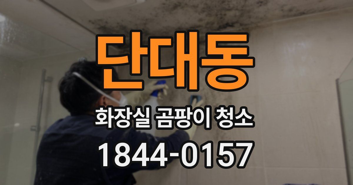 단대동 화장실 곰팡이 청소