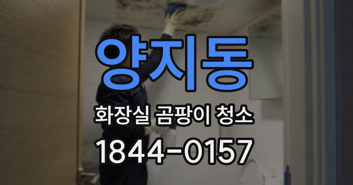 양지동 화장실 곰팡이 청소