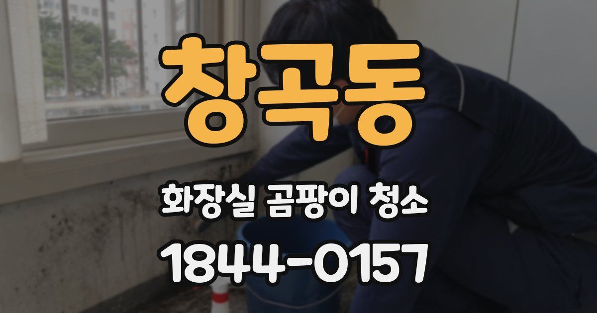 창곡동 화장실 곰팡이 청소