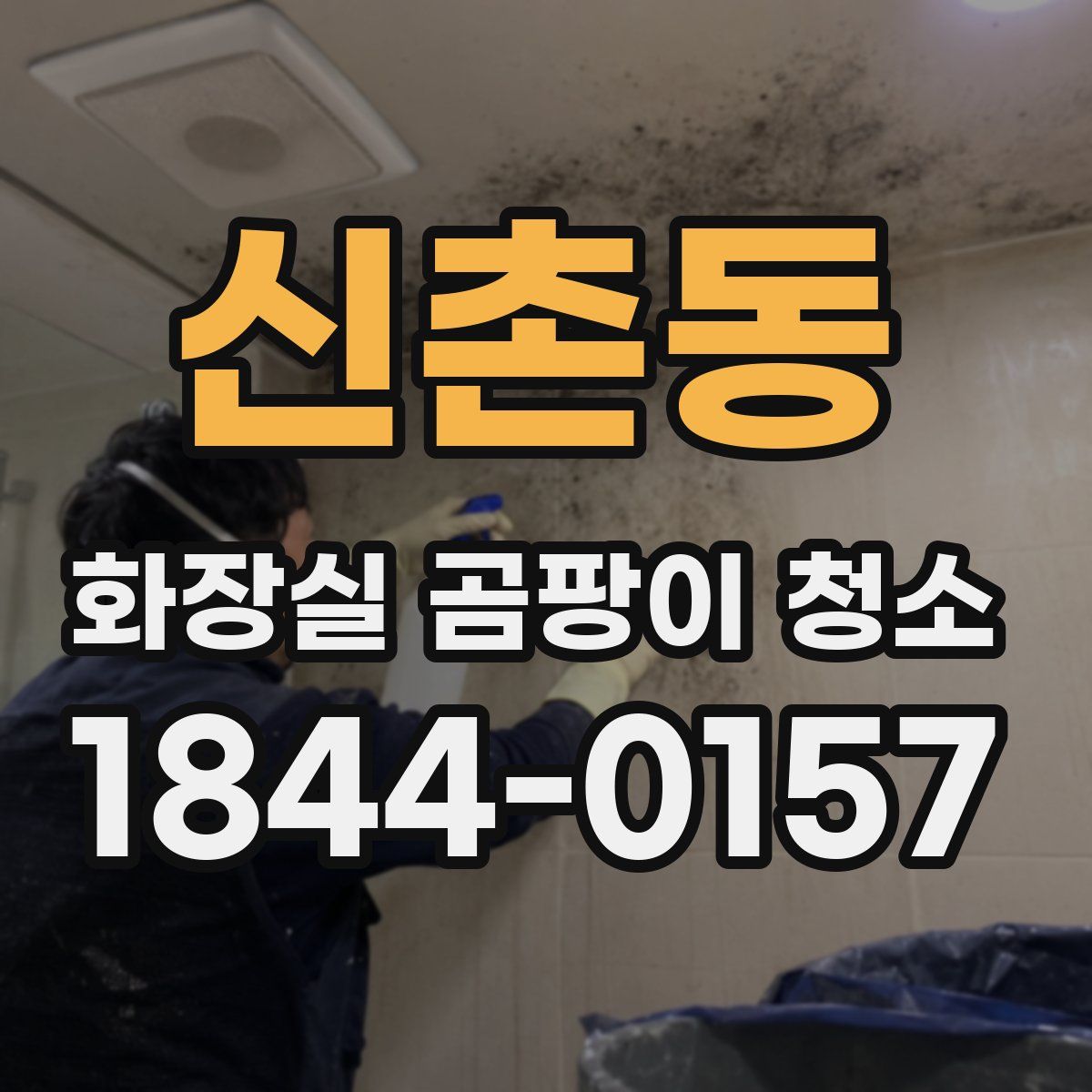신촌동 화장실 곰팡이 청소