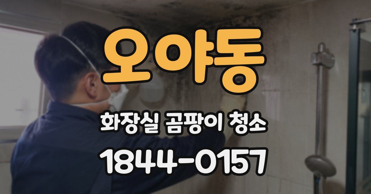 오야동 화장실 곰팡이 청소