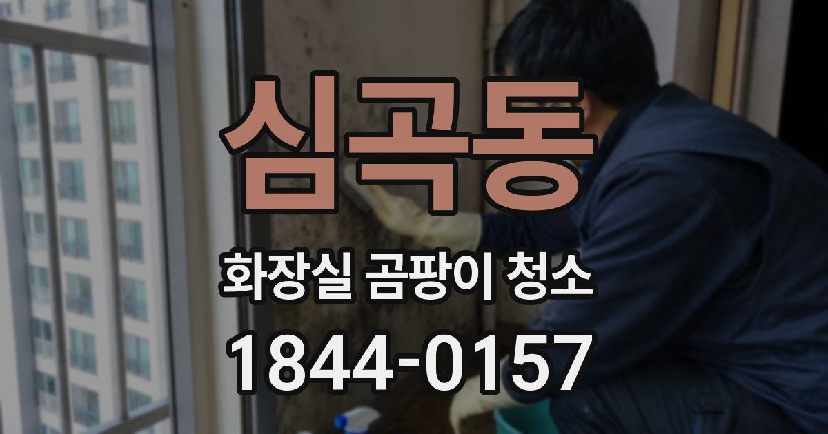 심곡동 화장실 곰팡이 청소