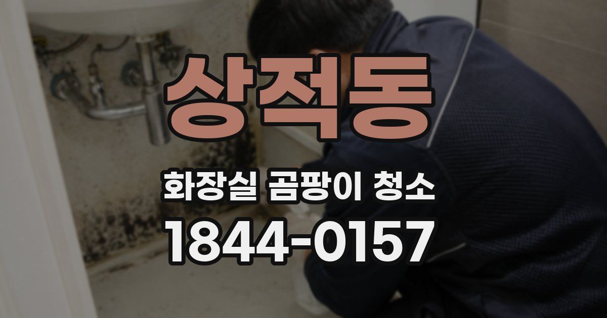 상적동 화장실 곰팡이 청소