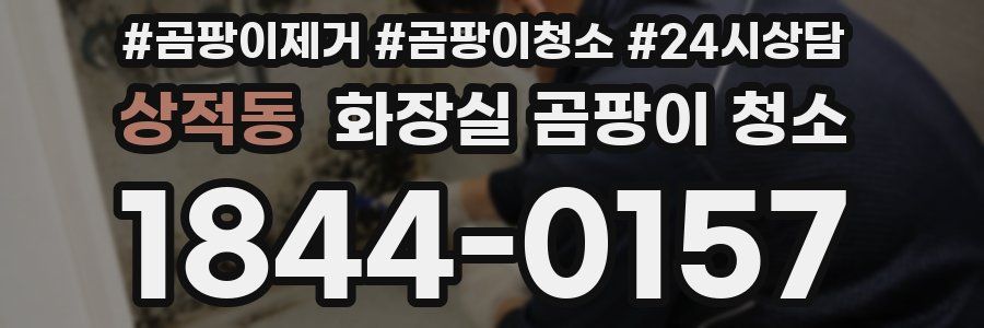 상적동 화장실 곰팡이 청소