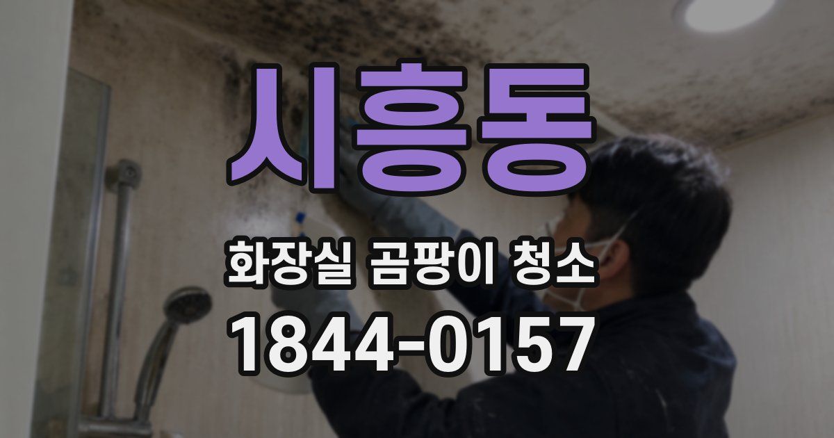 시흥동 화장실 곰팡이 청소