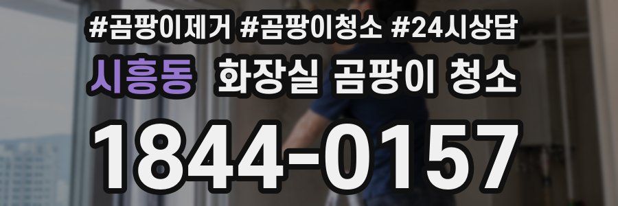시흥동 화장실 곰팡이 청소