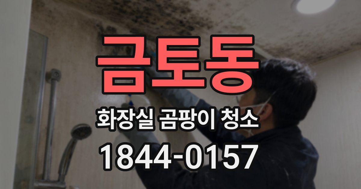 금토동 화장실 곰팡이 청소