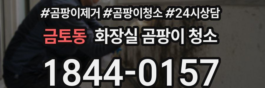 금토동 화장실 곰팡이 청소