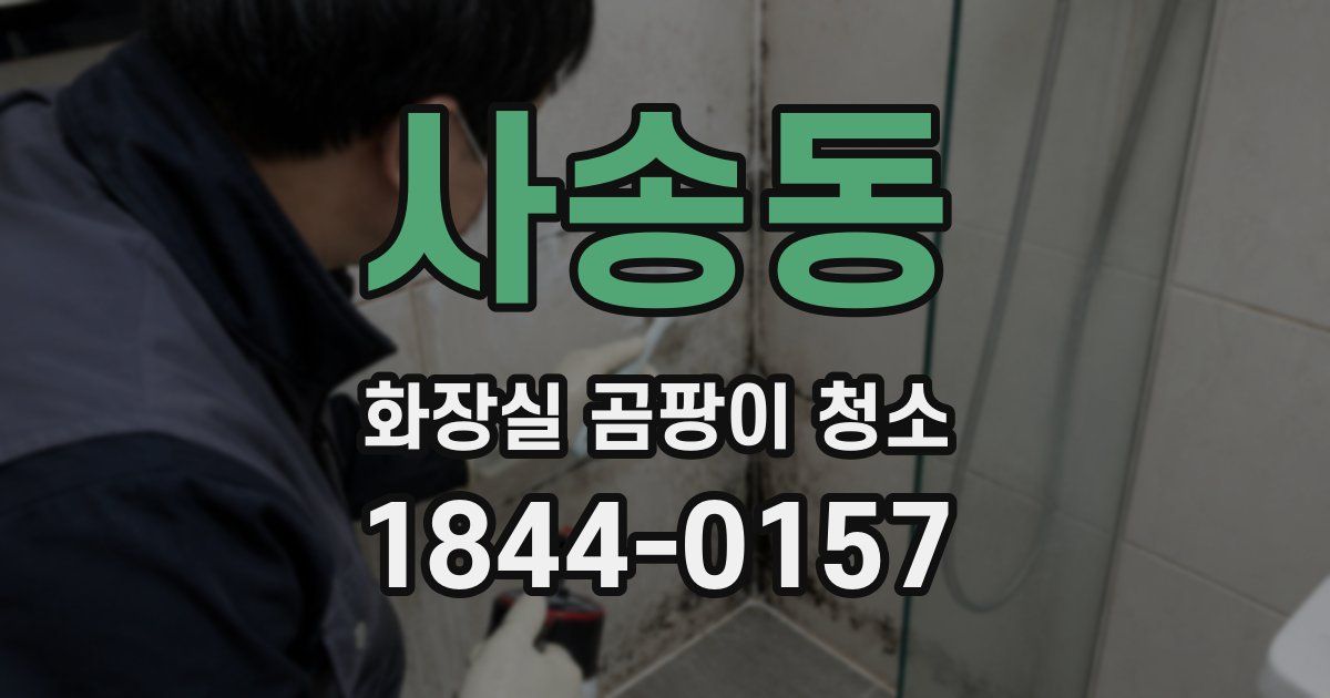 사송동 화장실 곰팡이 청소