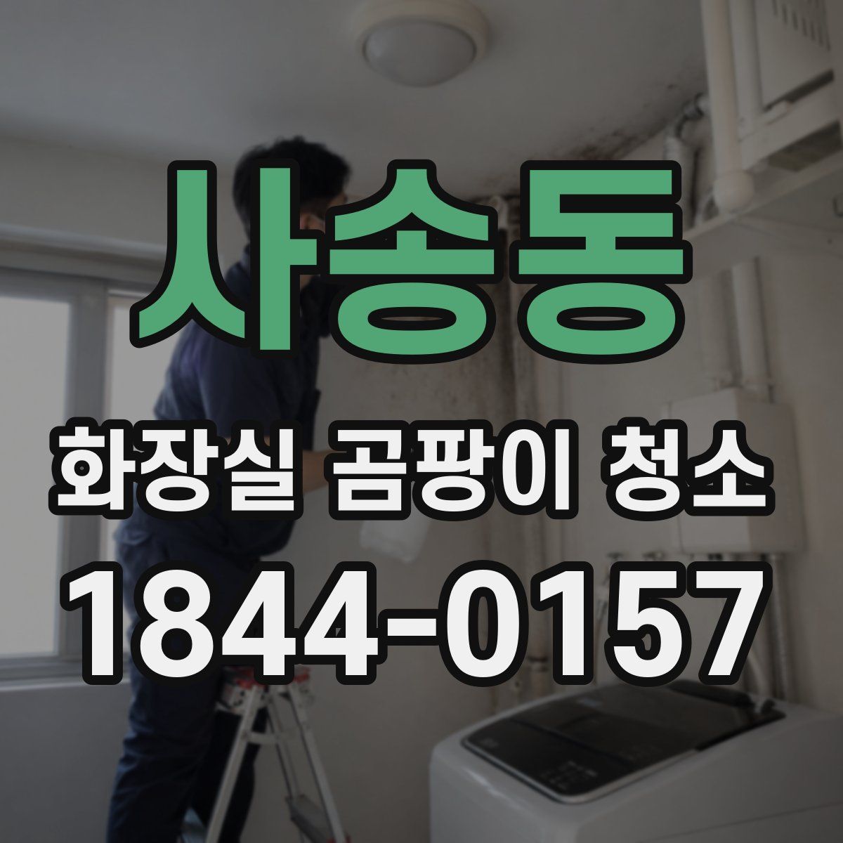 사송동 화장실 곰팡이 청소